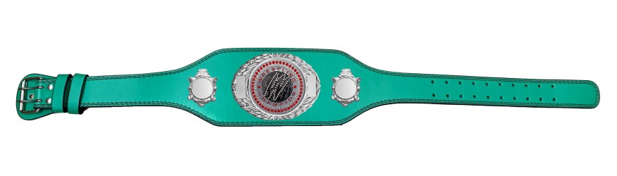 WRESTLING CHAMPIONSHIP BELT-BUD295/S/WRESTGEMS-4 COLOURS